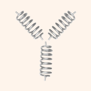 IRON CLOCK WISE SPRING SET 3