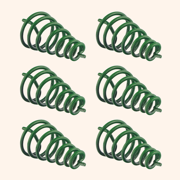 GREEN CLOCK WISE SPRING SET 6