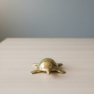 My Vastu Tool BRASS SMALL YANTRA TURTLE