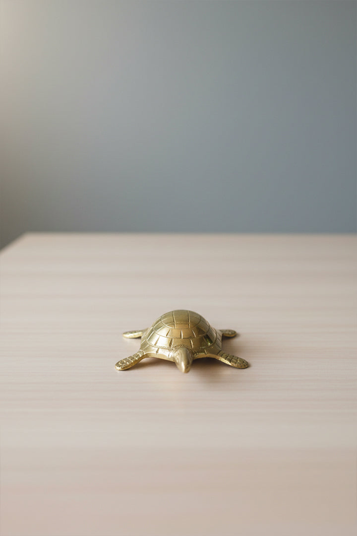 My Vastu Tool BRASS SMALL YANTRA TURTLE