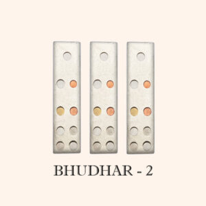 My Vastu Tool BHUDHAR DEVTA DIVS