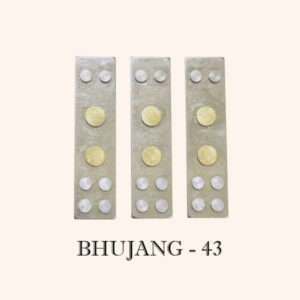 My Vastu Tool BHUJAG DEVTA DIVS