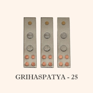 My Vastu Tool GRITHASPATYA DEVTA DIVS