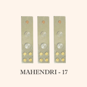 My Vastu Tool MAHENDRA DEVTA DIVS