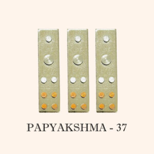 My Vastu Tool PAPYAKSHMA DEVTA DIVS