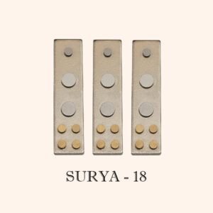 My Vastu Tool SURYA DEVTA DIVS