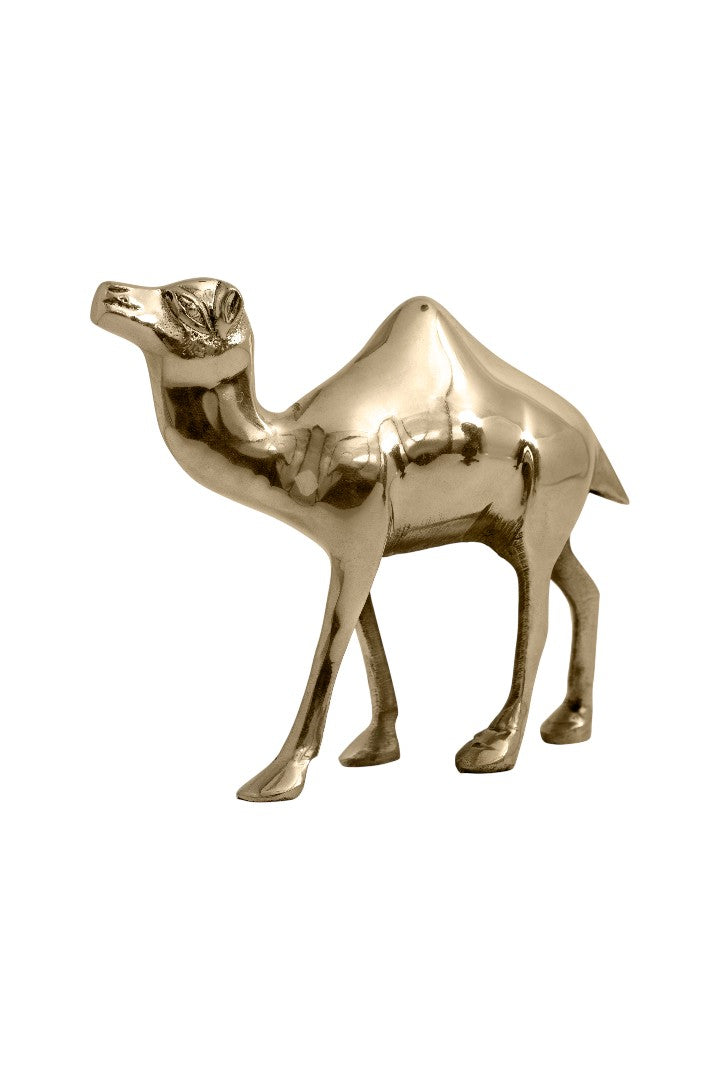 My Vastu Tool CAMEL STATUE