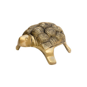 My Vastu Tool BRASS HOLLOW SMALL TURTLE