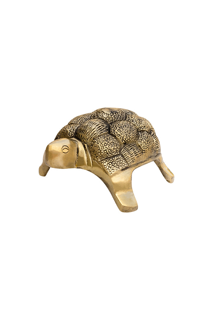 My Vastu Tool BRASS HOLLOW SMALL TURTLE