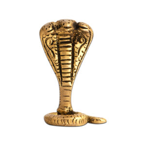 My Vastu Tool BRASS SNAKE PACK OF 3
