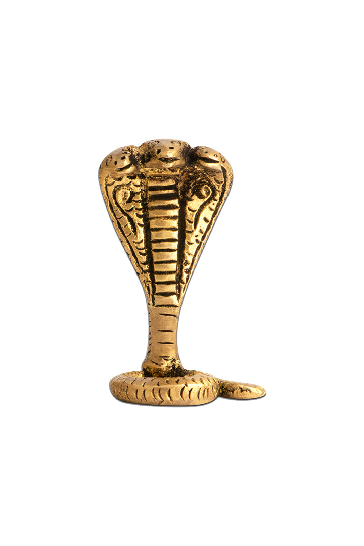 My Vastu Tool BRASS SNAKE PACK OF 3