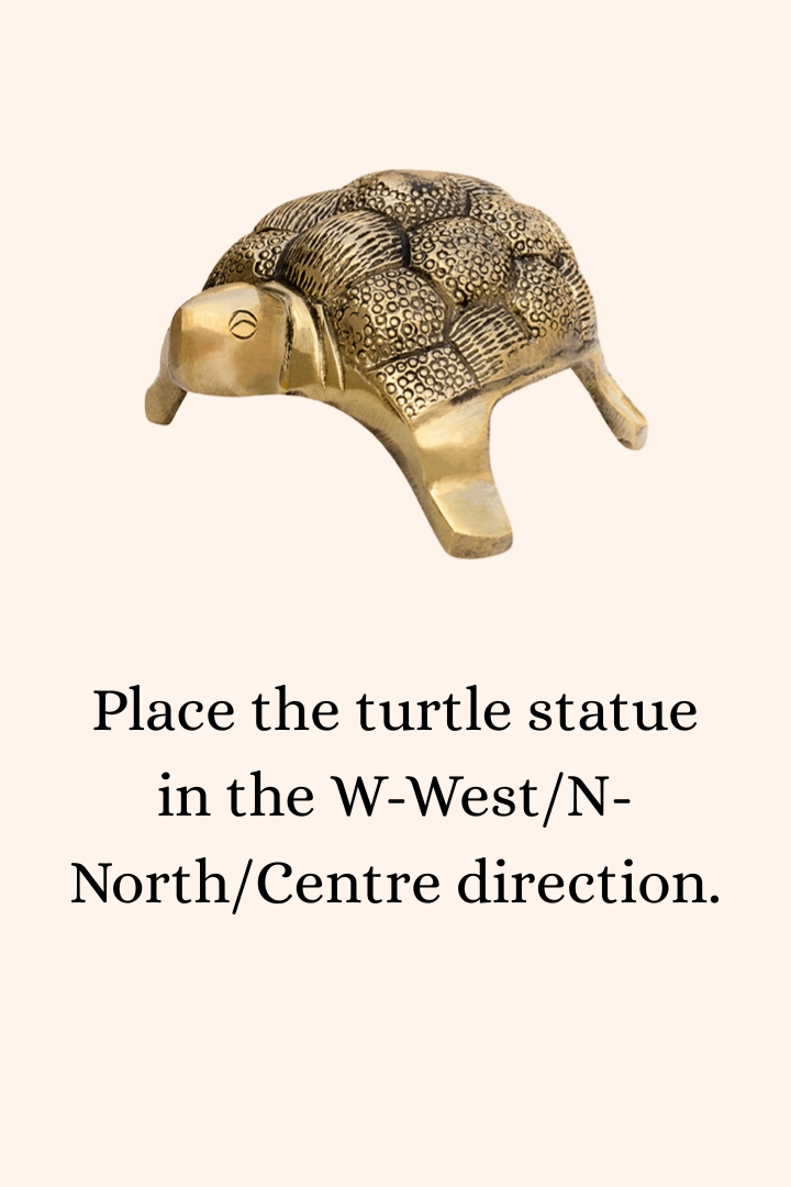 My Vastu Tool BRASS HOLLOW SMALL TURTLE - Image 4