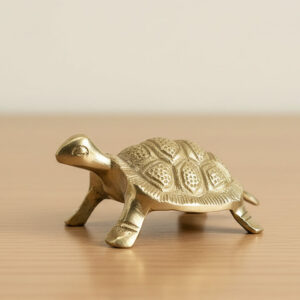 My Vastu Tool BRASS SMALL YANTRA TURTLE 2 INCH