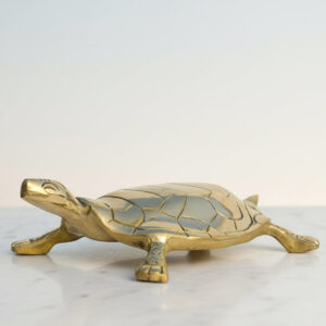 My Vastu Tool BRASS HOLLOW BIG TURTLE