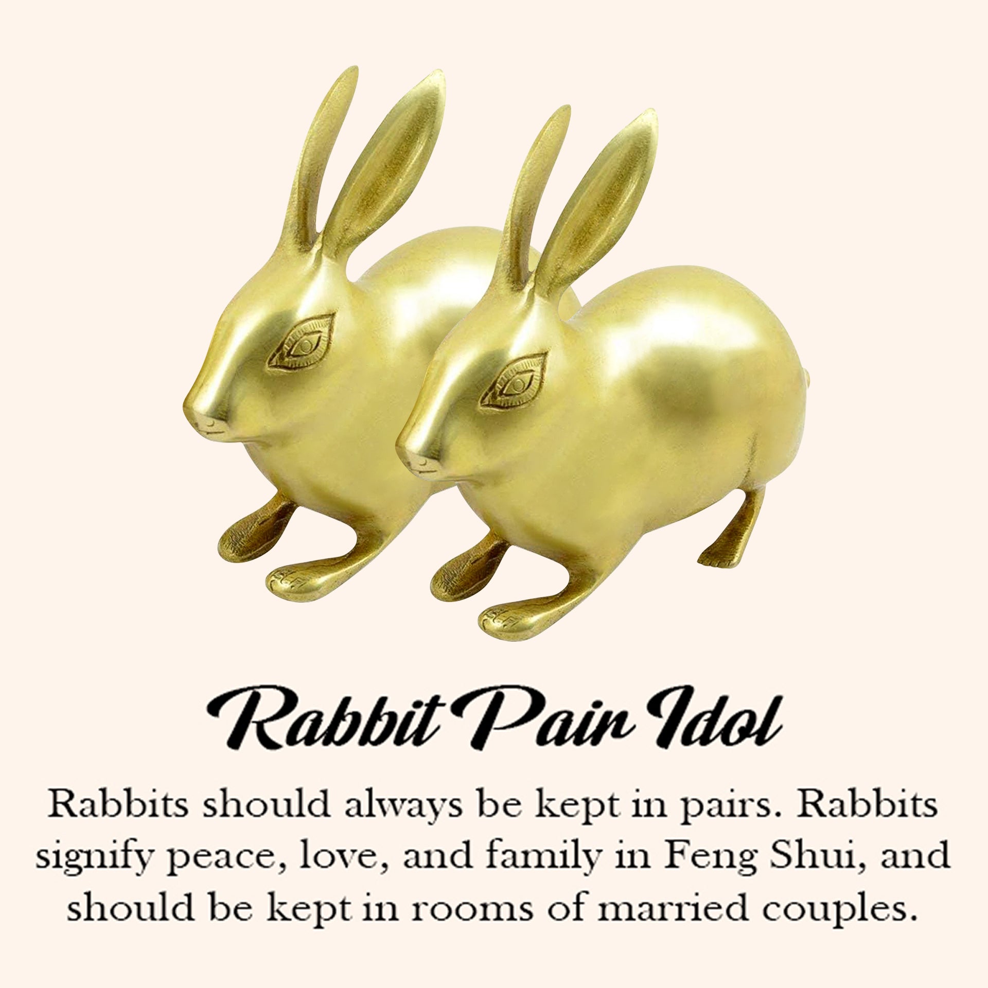 My Vastu Tool BRASS SMALL RABBIT PAIR STATUE - Image 3